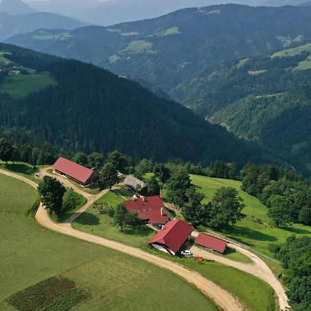 Farmstay&Glamping Visocnik Ljubno Buitenkant foto