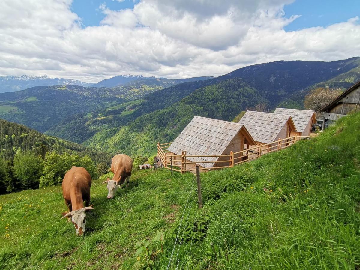 Farmstay&Glamping Visocnik Ljubno Buitenkant foto