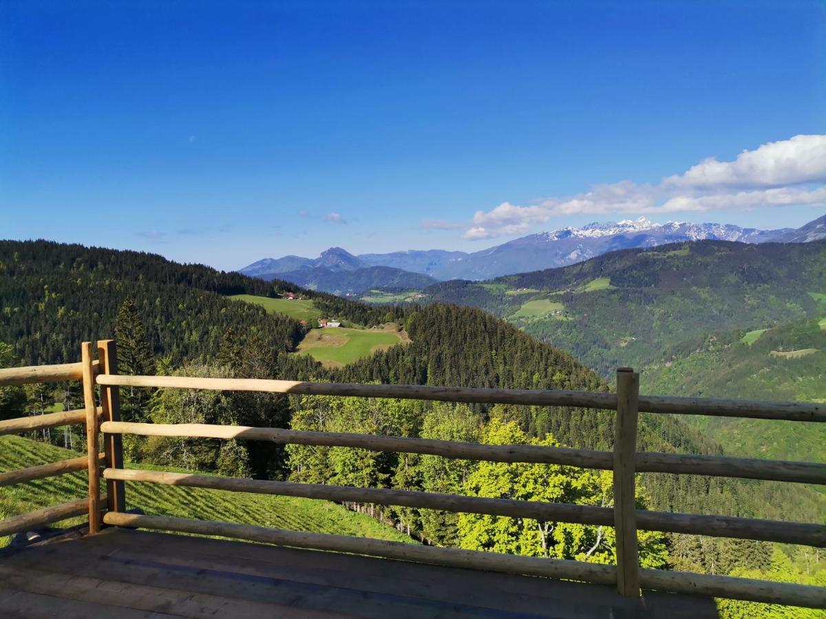 Farmstay&Glamping Visocnik Ljubno Buitenkant foto