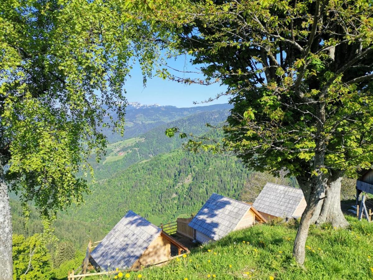 Farmstay&Glamping Visocnik Ljubno Buitenkant foto