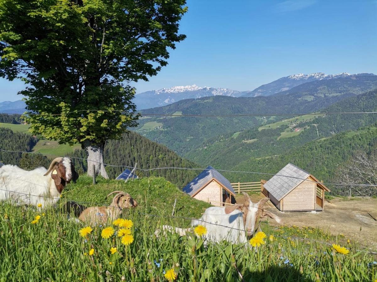 Farmstay&Glamping Visocnik Ljubno Buitenkant foto