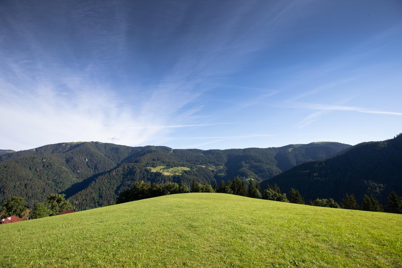 Farmstay&Glamping Visocnik Ljubno Buitenkant foto