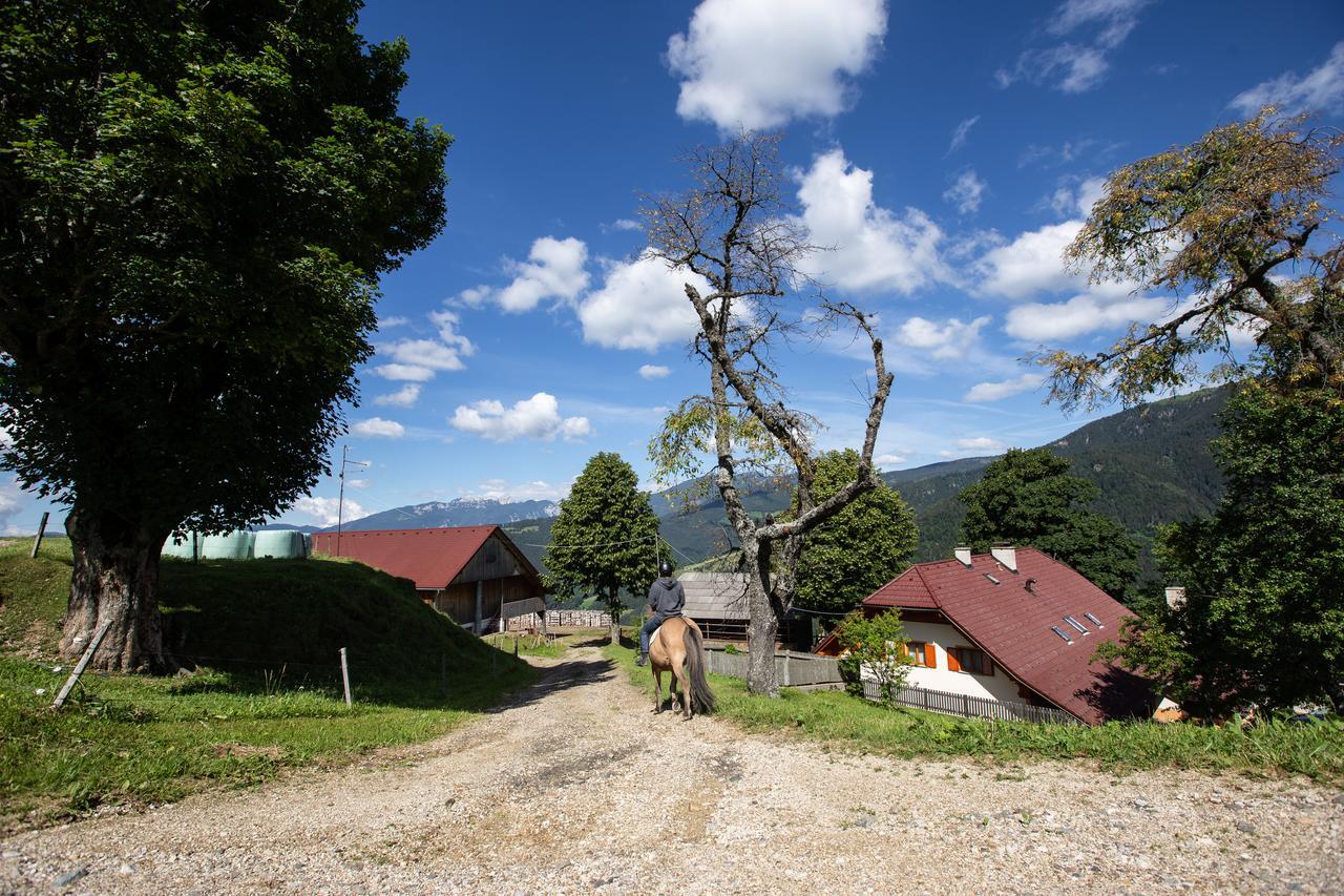 Farmstay&Glamping Visocnik Ljubno Buitenkant foto