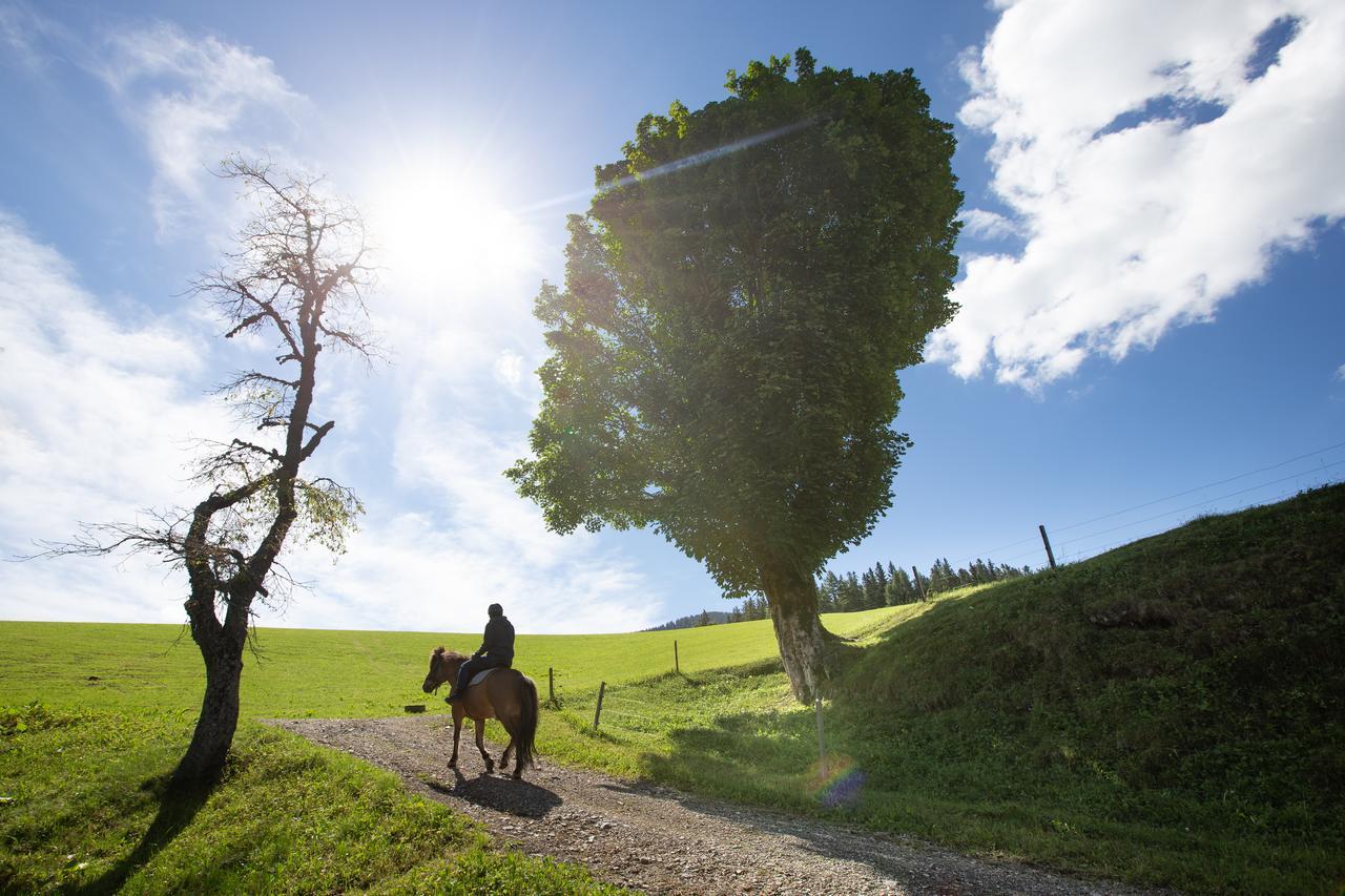 Farmstay&Glamping Visocnik Ljubno Buitenkant foto