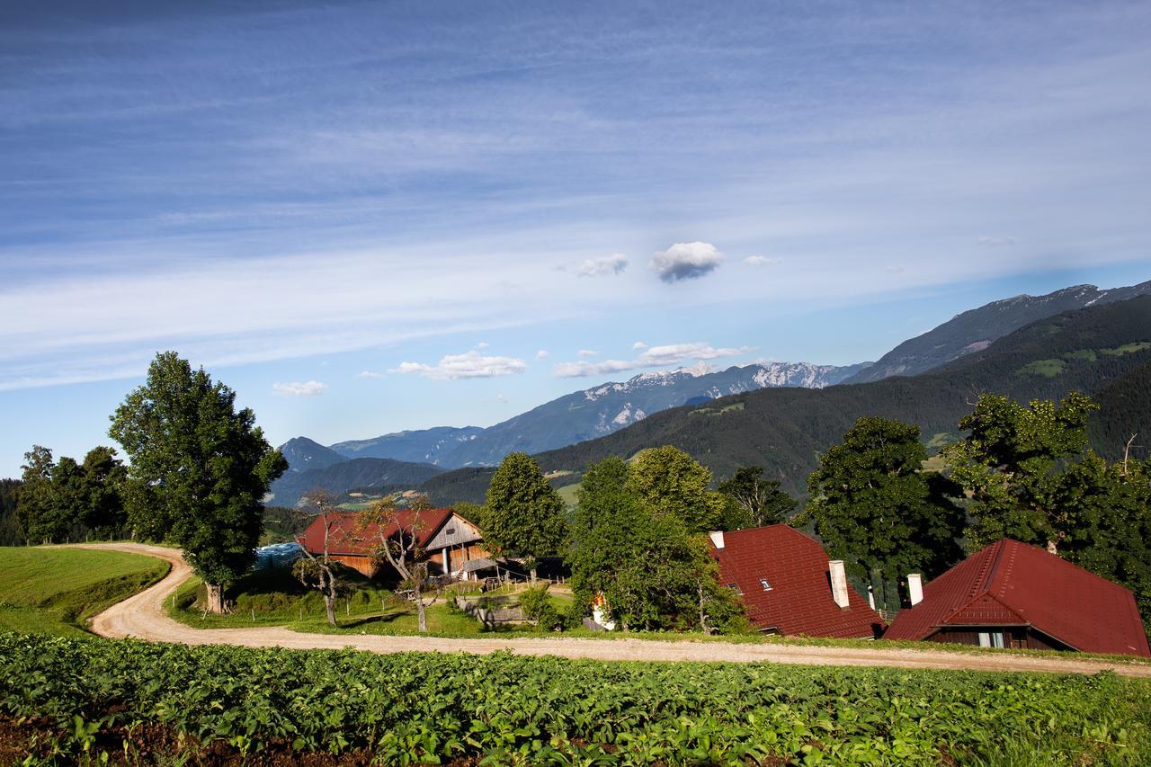 Farmstay&Glamping Visocnik Ljubno Buitenkant foto