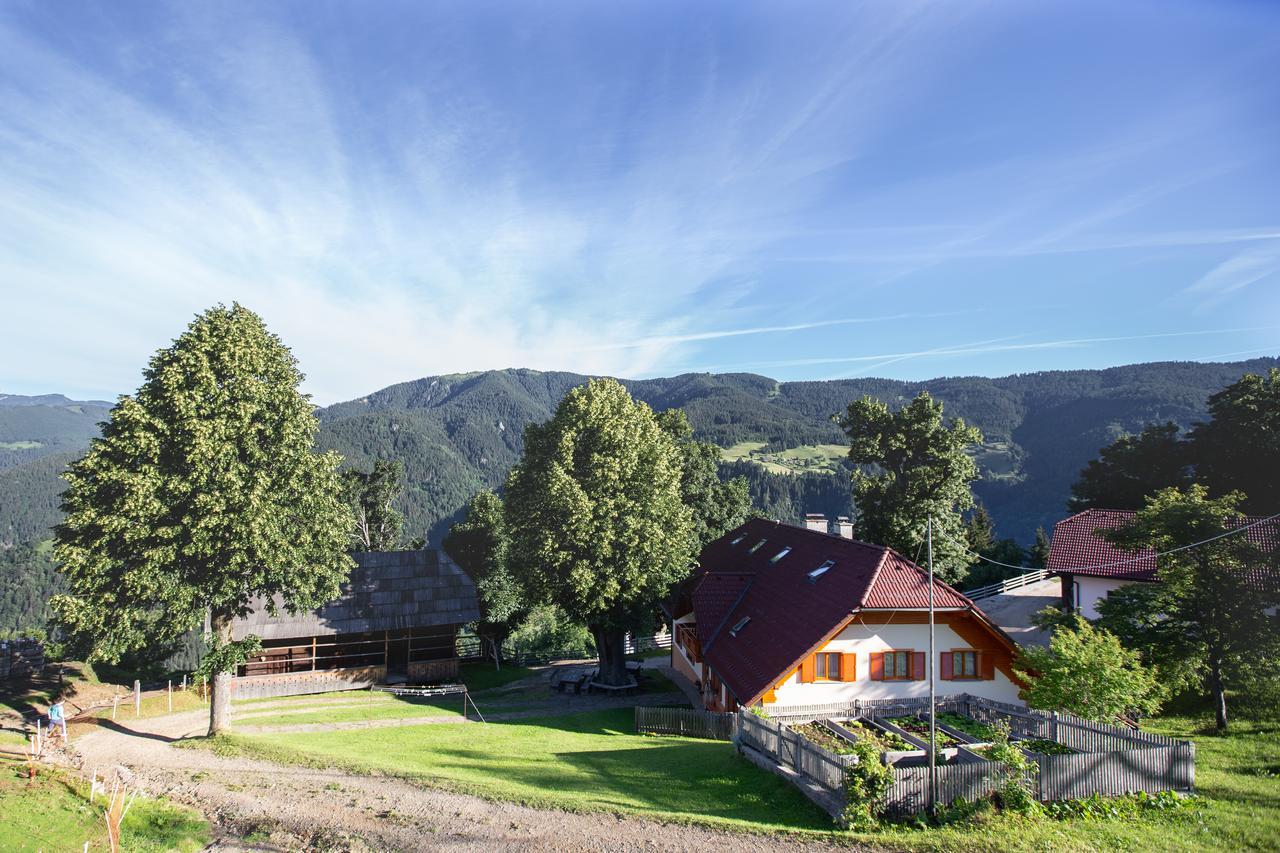 Farmstay&Glamping Visocnik Ljubno Buitenkant foto