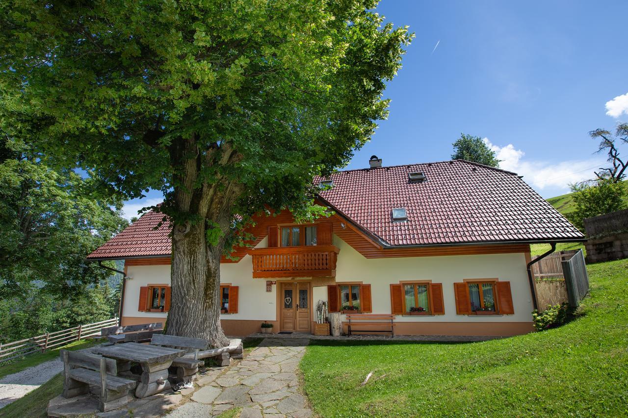 Farmstay&Glamping Visocnik Ljubno Buitenkant foto