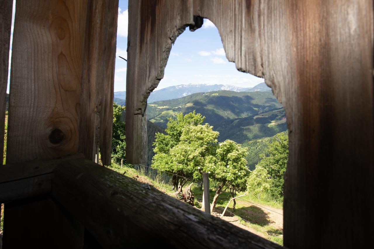 Farmstay&Glamping Visocnik Ljubno Buitenkant foto