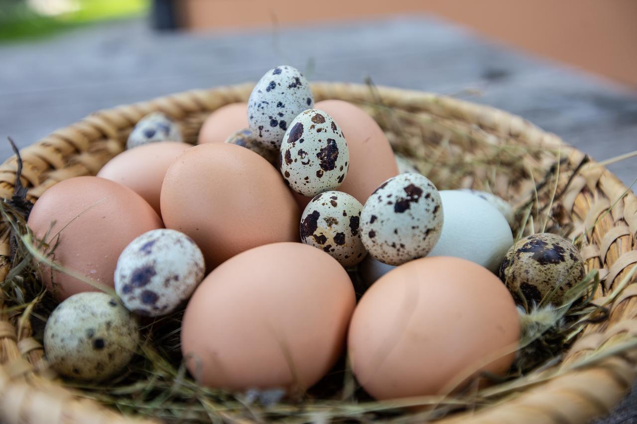 Farmstay&Glamping Visocnik Ljubno Buitenkant foto