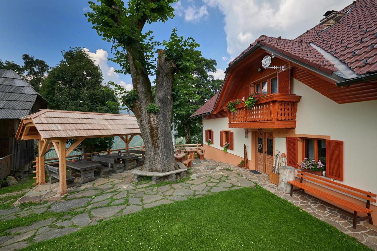Farmstay&Glamping Visocnik Ljubno Buitenkant foto