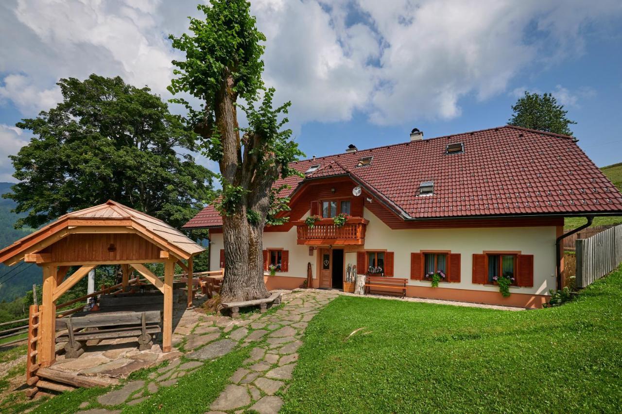 Farmstay&Glamping Visocnik Ljubno Buitenkant foto