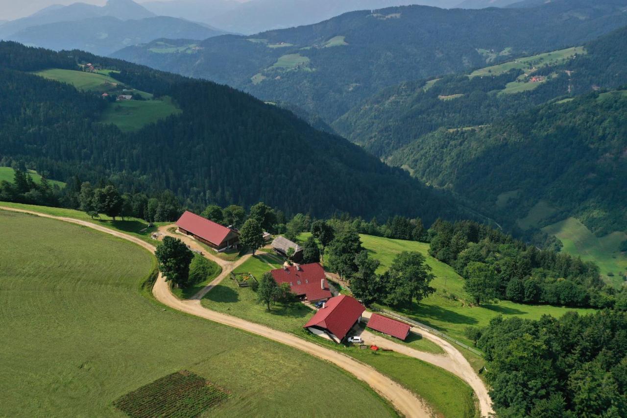 Farmstay&Glamping Visocnik Ljubno Buitenkant foto