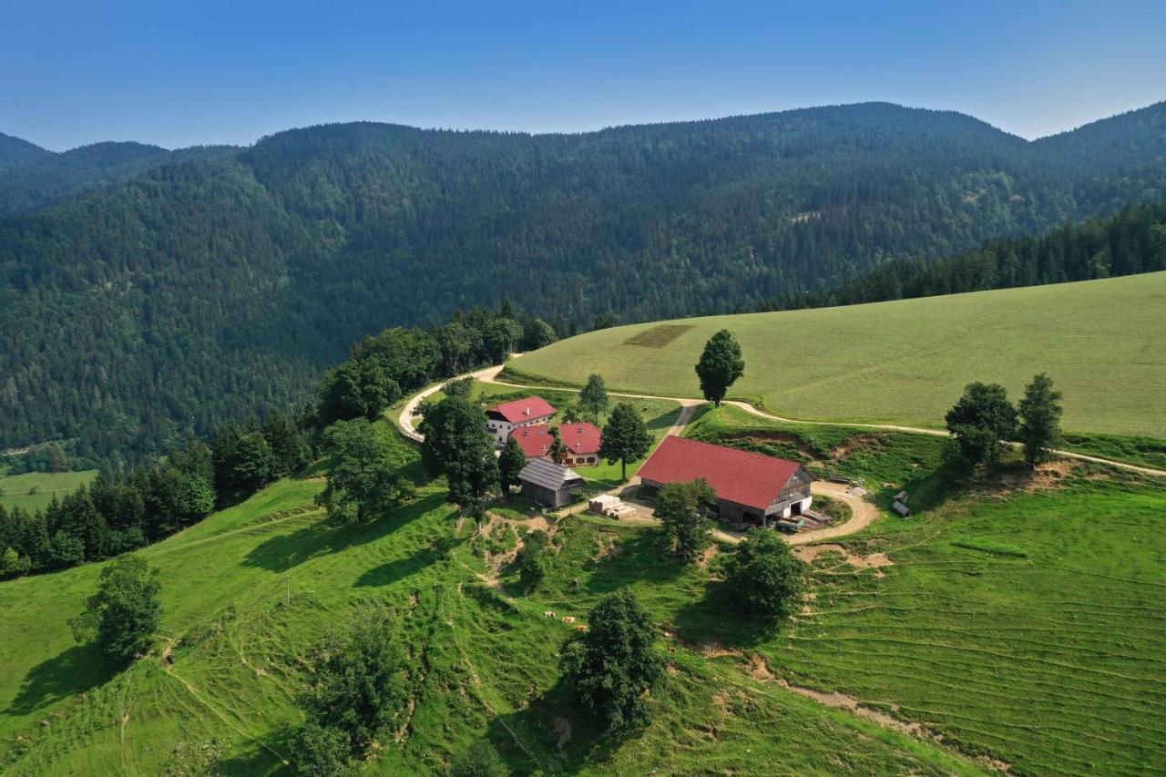 Farmstay&Glamping Visocnik Ljubno Buitenkant foto