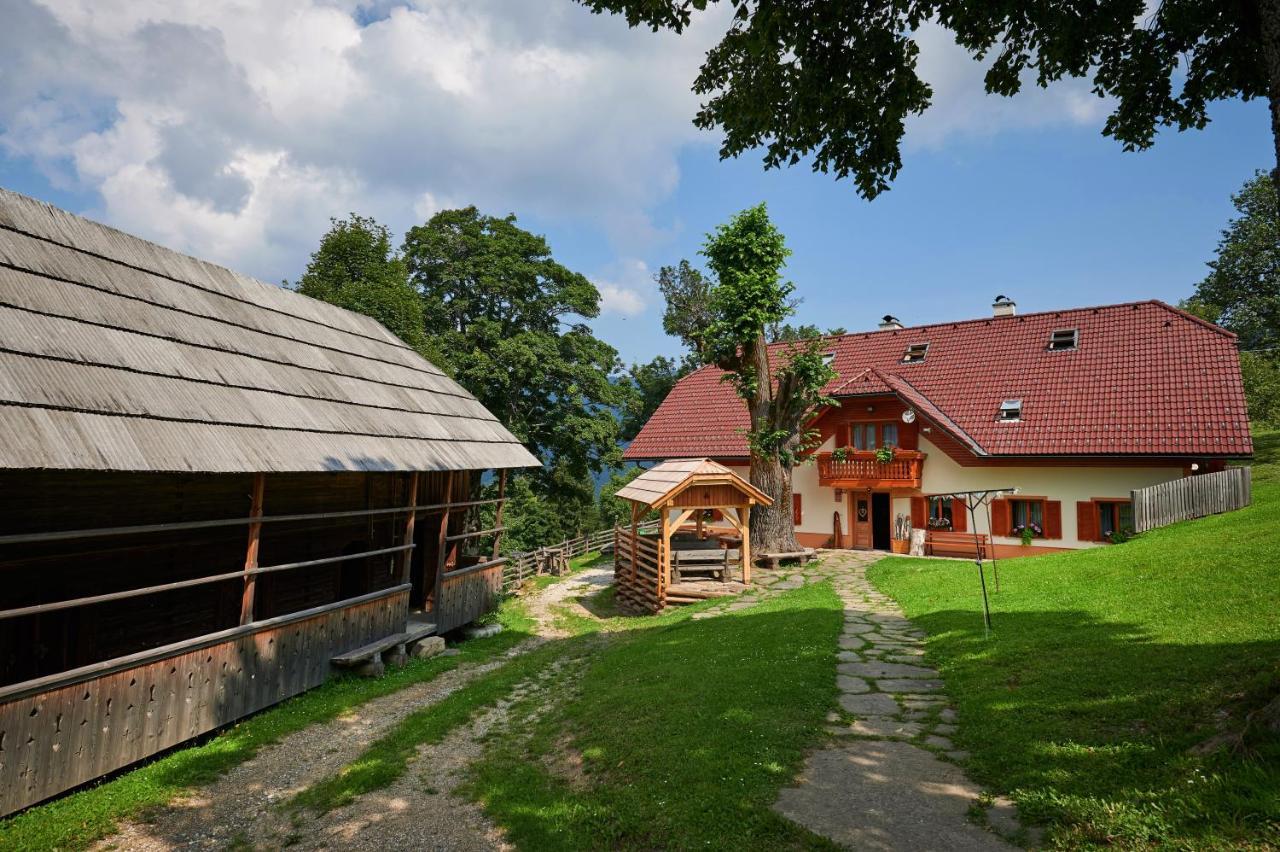 Farmstay&Glamping Visocnik Ljubno Buitenkant foto