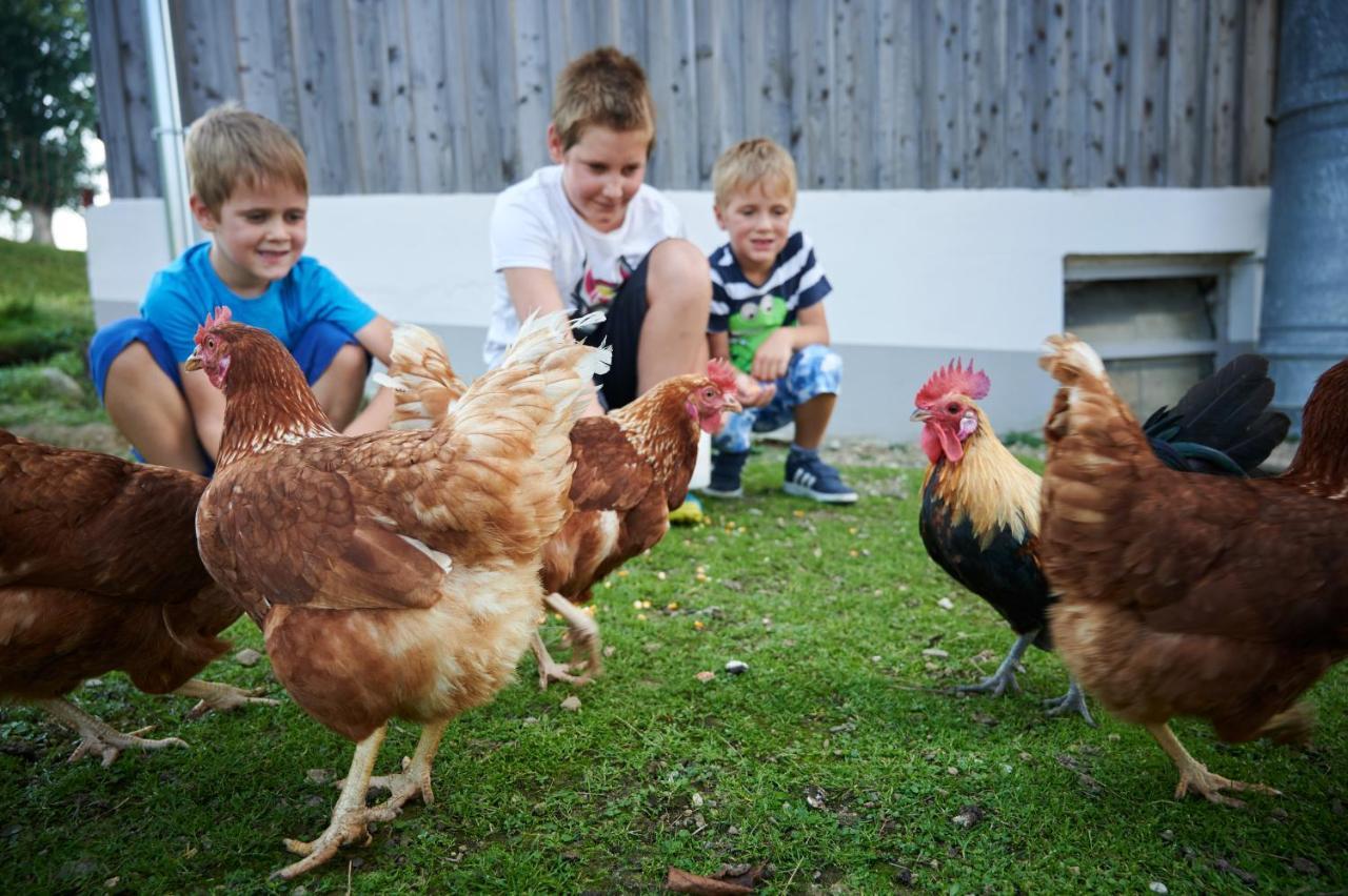 Farmstay&Glamping Visocnik Ljubno Buitenkant foto