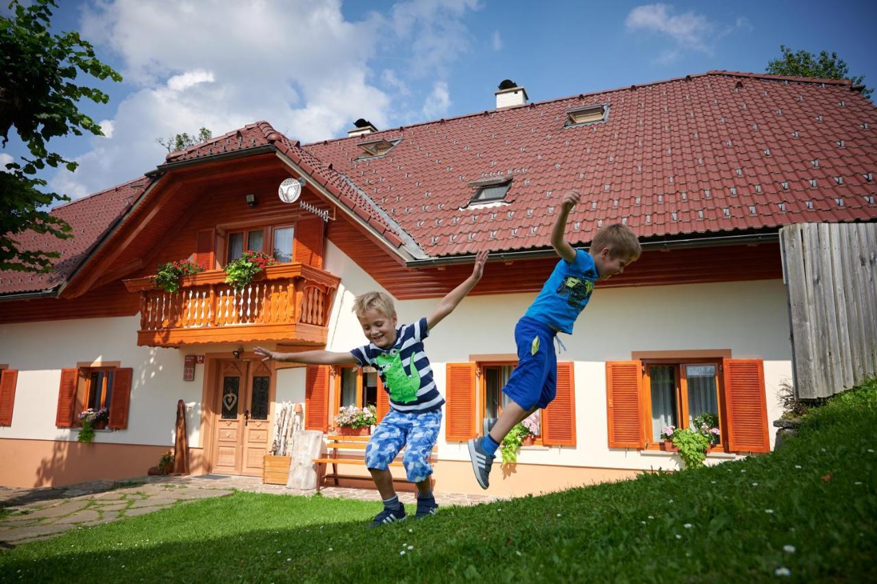 Farmstay&Glamping Visocnik Ljubno Buitenkant foto