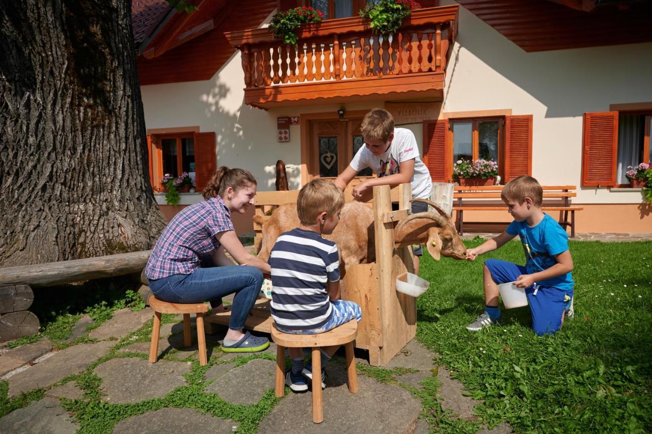 Farmstay&Glamping Visocnik Ljubno Buitenkant foto